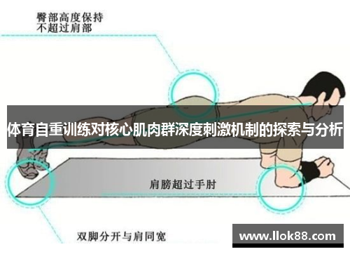 体育自重训练对核心肌肉群深度刺激机制的探索与分析